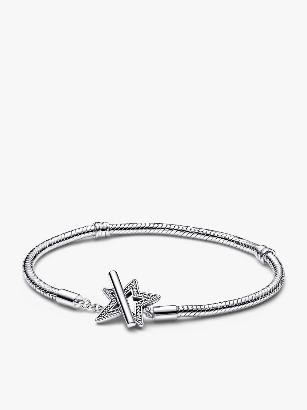 Snake Clasp & Chain Bracelet